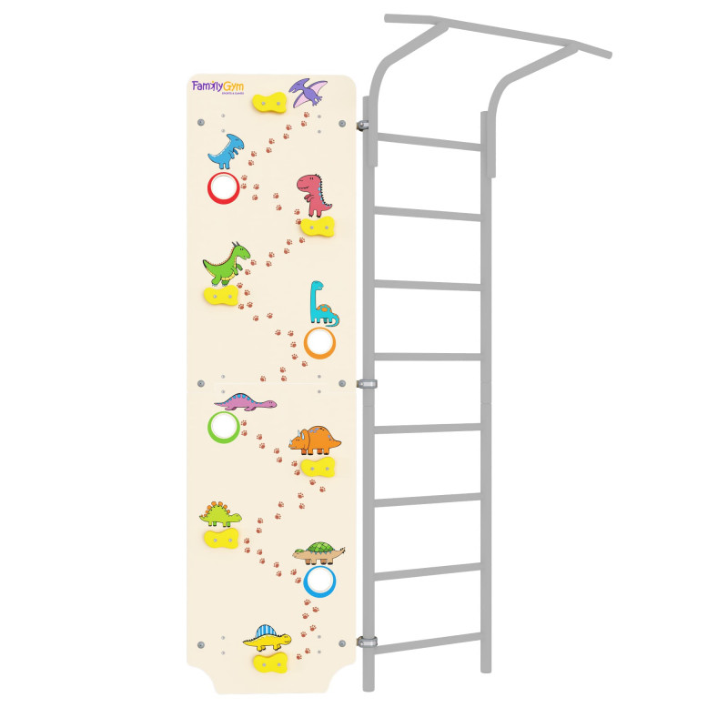 Climber wall bar